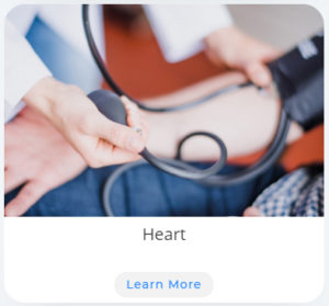 Heart, Florida Cardiology, P.A